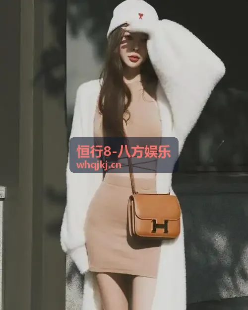 恒行8-八方娱乐风控安全网格防护拓扑底图